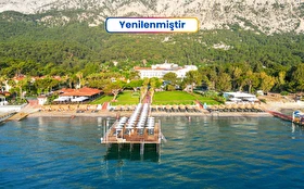 Tümü