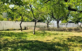 Otel Dışı