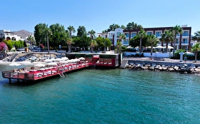 Tümü