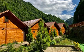 Genel