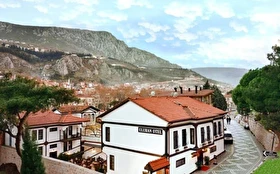 Tümü