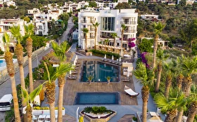 Tümü
