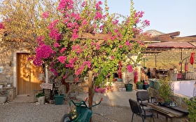 Otel Dışı