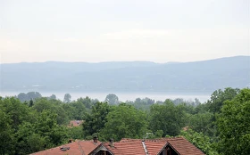 Tümü