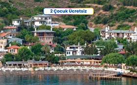 Tümü