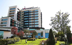 Tümü