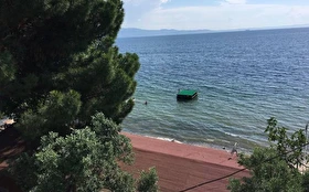 Tümü