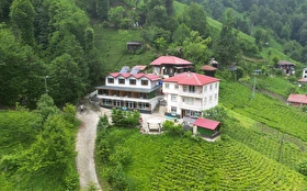 Tümü