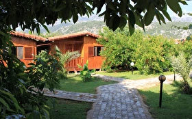 Tümü