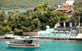 Tümü