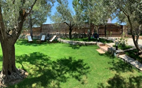 Tümü