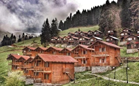 Tümü