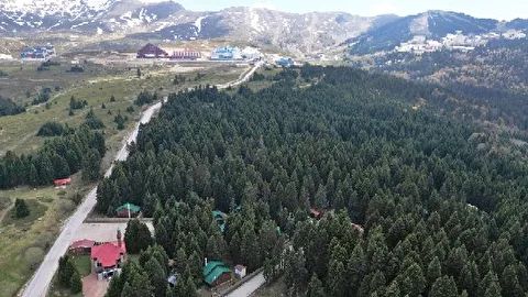 Karinna Orman Köşkleri Bursa Uludağ Uludağ 2. Bölge