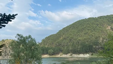 Mavi Ladin Garden Bolu Bolu Göynük Yapraklı