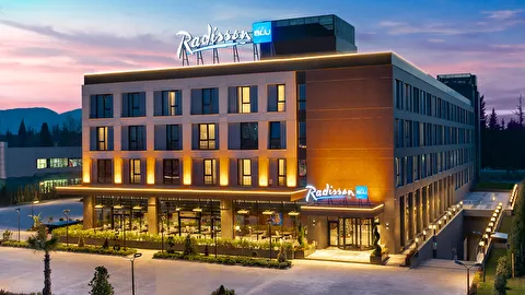 Radisson Blu Hotel Sakarya Sakarya Arifiye Hanlıköy Mahallesi