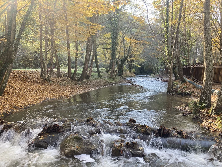 Abant Şömines Otel Bolu Abant Akçaalan