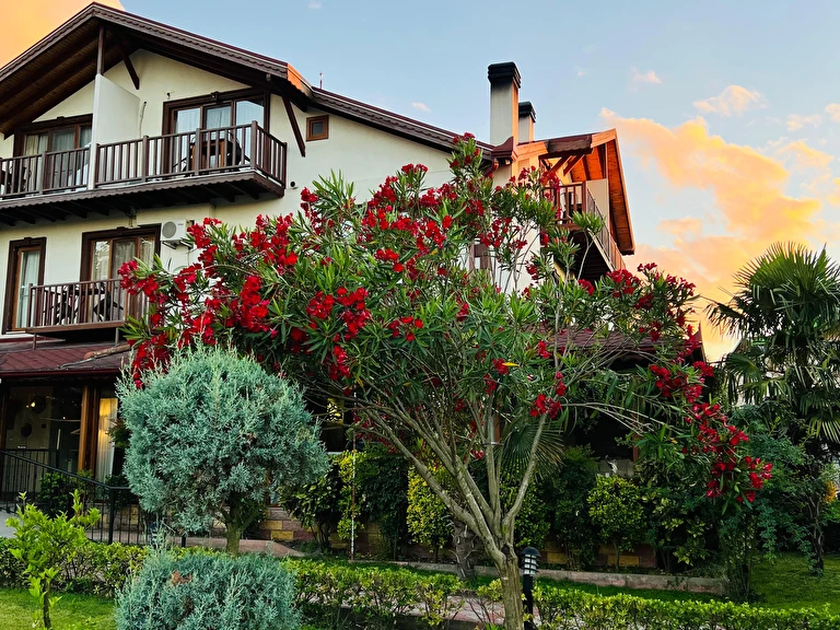 Cevizdibi Otel Kocaeli Kartepe Maşukiye