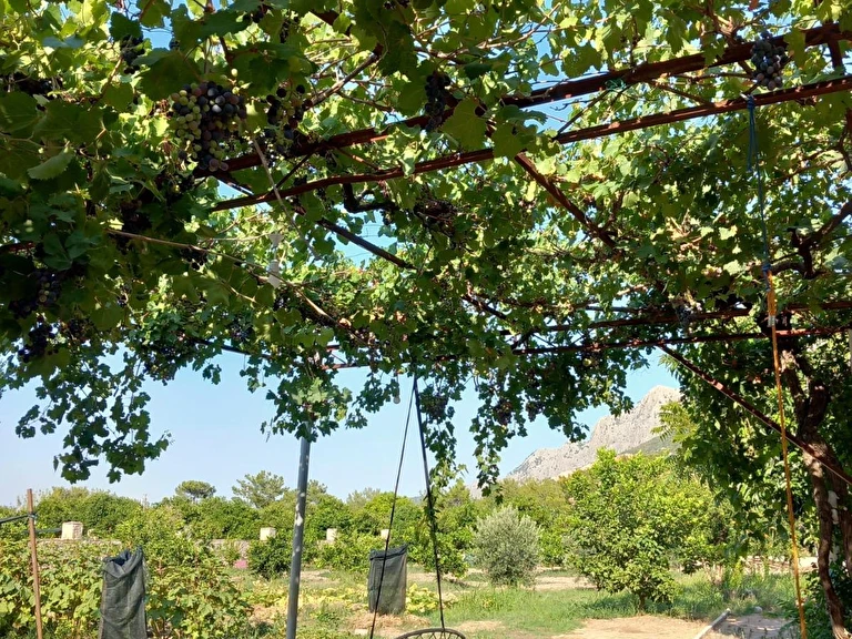 Coşkun Bağ Evi 2 Antalya Antalya Merkez Konyaaltı