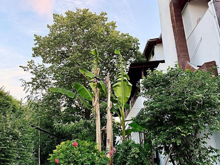Defne Konaklama İstanbul Beykoz Polonezköy