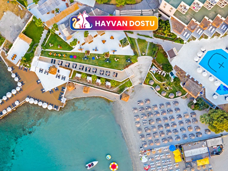 Design Plus Seya Beach Hotel İzmir Çeşme Alaçatı