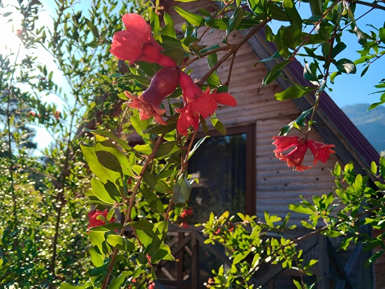 Don Kişot Pansiyon Antalya Kumluca Olimpos