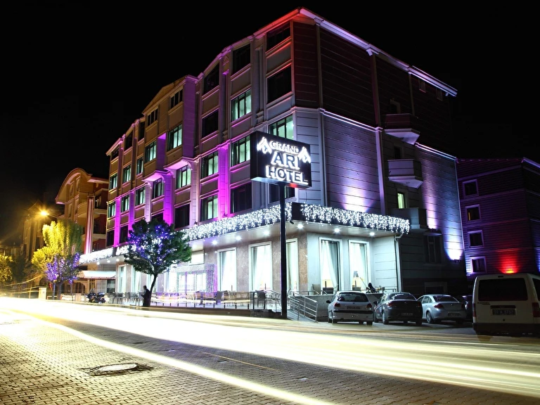 Grand Arı Hotel Afyon Afyon Merkez