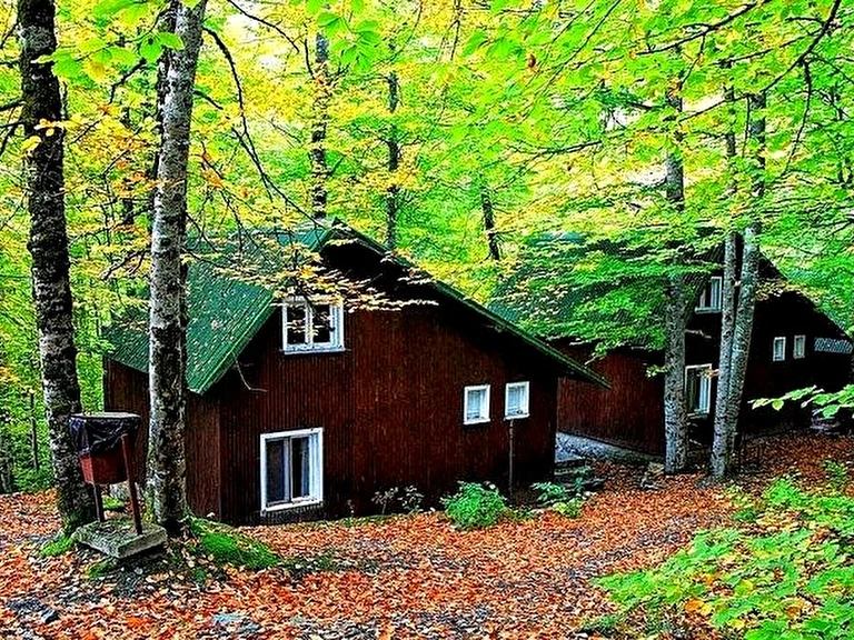 Habitat Mesire Yerleri Bolu Bolu Merkez Bolu Yeşilköy