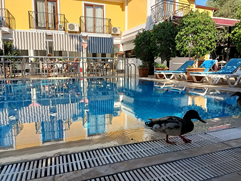 Hotel Barlas Muğla Fethiye Fethiye Merkez