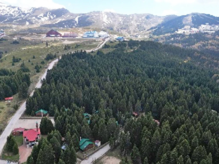 Karinna Orman Köşkleri Bursa Uludağ Uludağ 2. Bölge