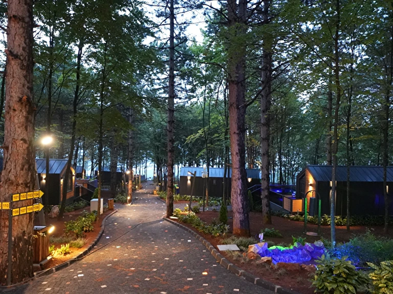 Kartepe Saklı Vadi Tiny House Kartepe Saklı Vadi Tiny House Kocaeli Kartepe Maşukiye