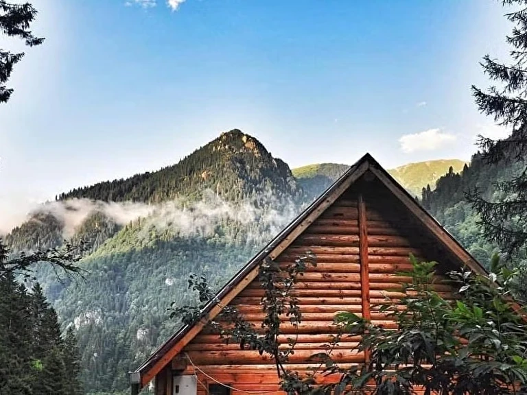 Ladin Dağ Evi Rize Çamlıhemşin
