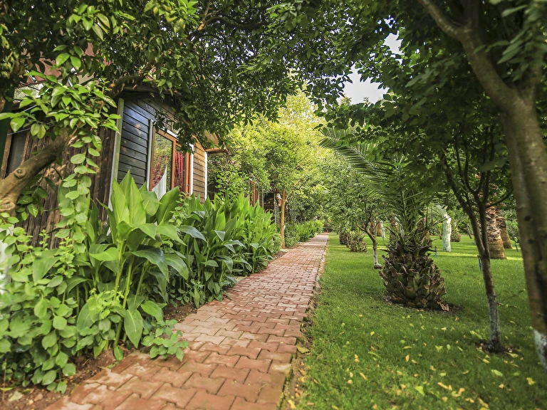 Likya Evleri Olympos Antalya Kumluca Olimpos