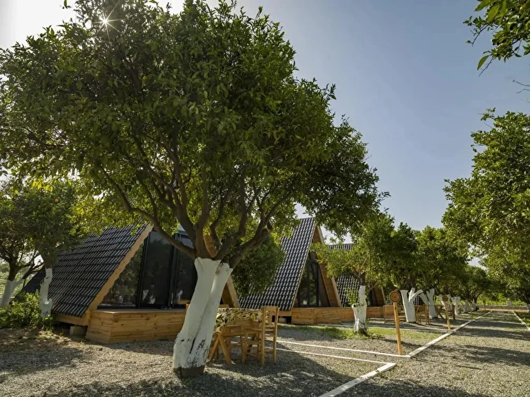 Limon Datça Muğla Datça