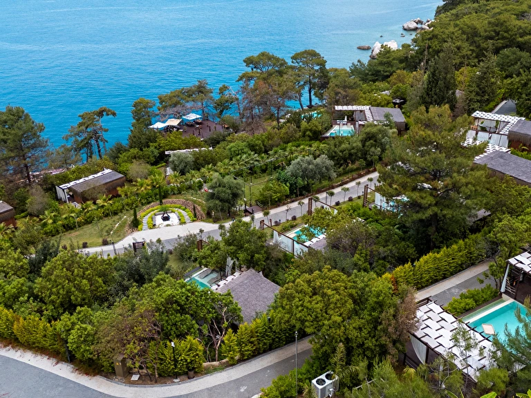 Lov Faralya Muğla Fethiye Faralya