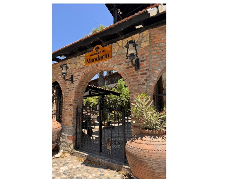 Manastır Mandarin Balıkesir Edremit