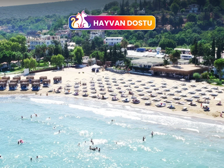 Mavi Beyaz Otel Mersin Erdemli Ayaş
