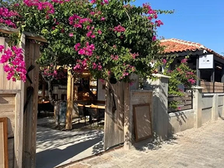 Mavi Lotus Pansiyon Muğla Datça Palamutbükü