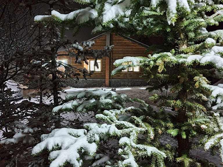Oba Kütük Evleri Bolu Seben