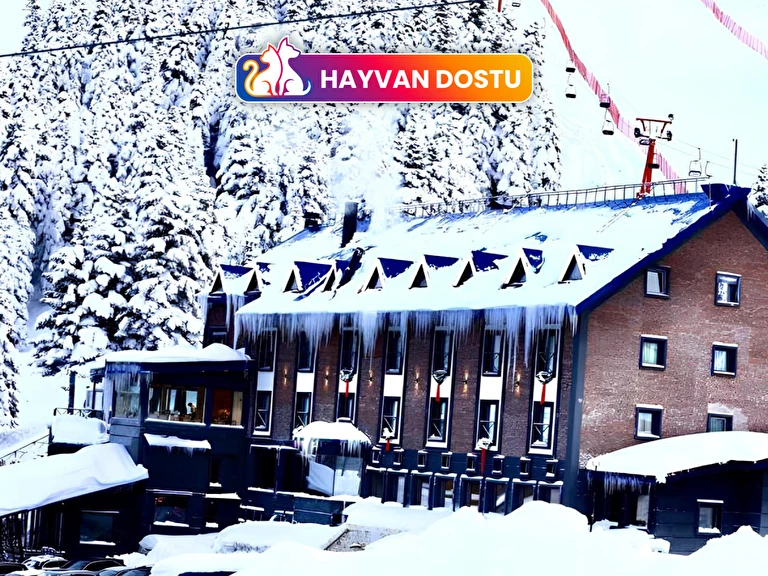 Oksijen Zone Hotel & Spa Uludağ Bursa Uludağ Uludağ 1. Bölge