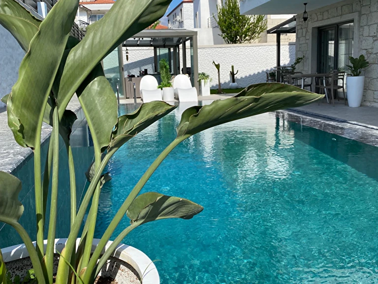 Olea Alaçatı İzmir Çeşme Alaçatı