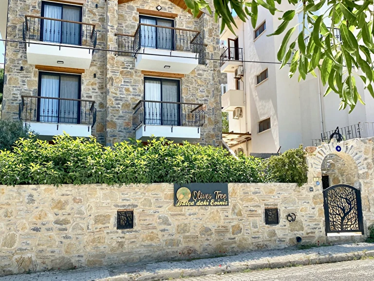 Olives Tree Datça Muğla Datça Datça Merkez