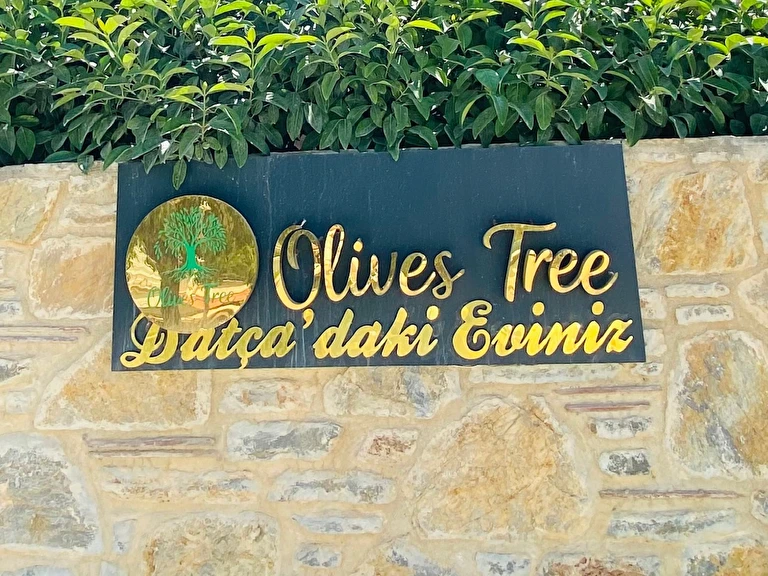 Olives Tree Datça Muğla Datça İskele Mahallesi