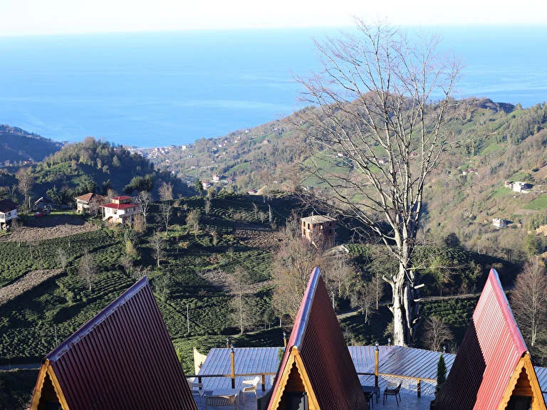 Pagen Bungalov Artvin Hopa Pınarlı