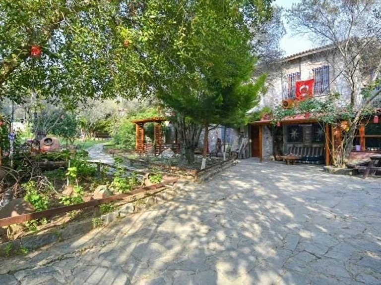 Pavelin Yeri Balıkesir Edremit Altınoluk