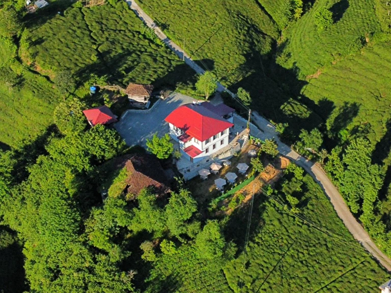 Rino Hauss Rize Fındıklı