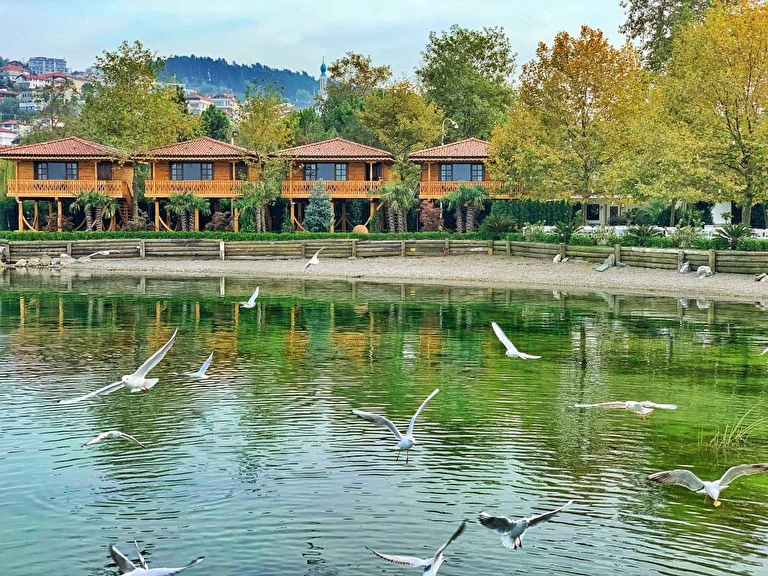 Sasa Sapanca Sakarya Sapanca Göl Mahallesi