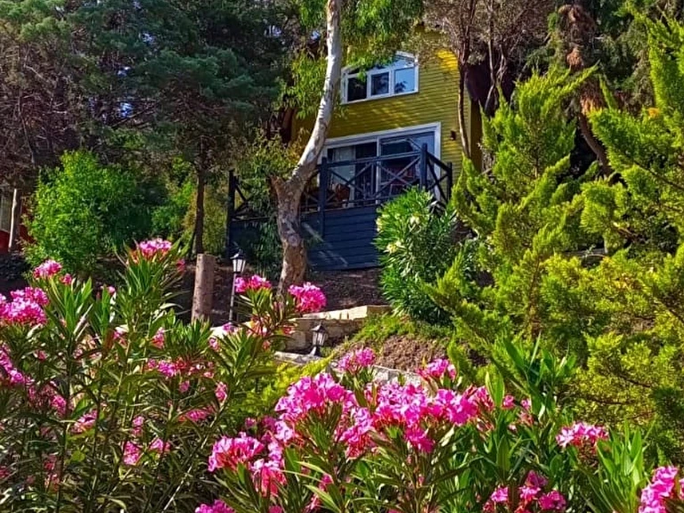 Sole Foça +12 İzmir Foça Yeni Foça