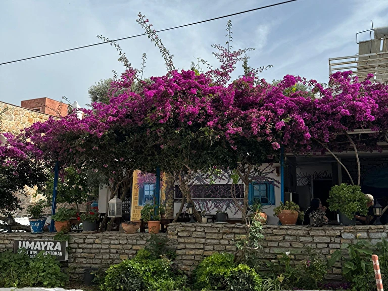 Umayra Apart Otel Restoran Muğla Bodrum Torba