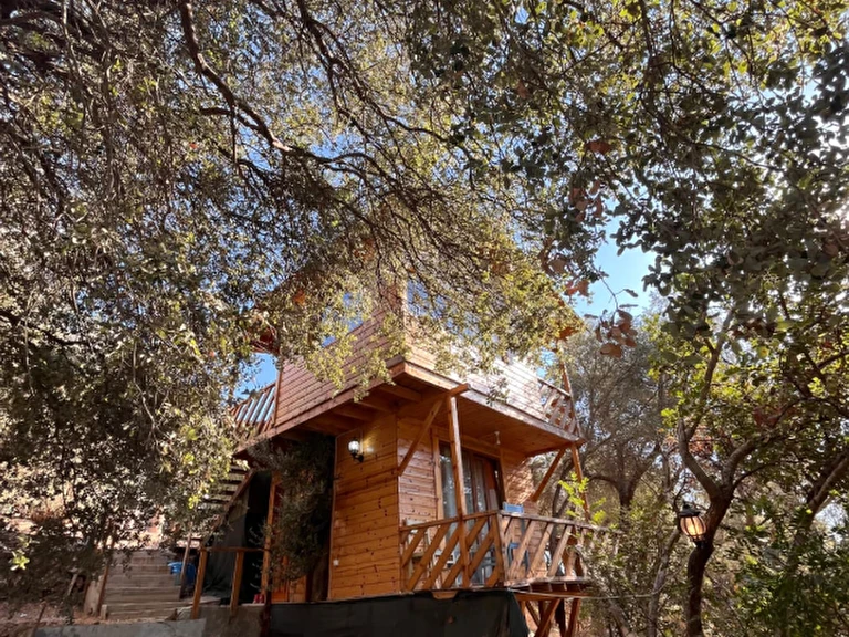 Vadi Kamp Yeri İşletmesi Muğla Fethiye Faralya