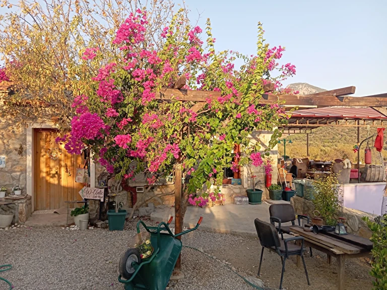 W. Antic Pansiyon Muğla Datça Hızırşah Mah